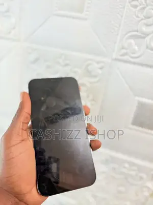 Apple iPhone 12 Pro Max 256 GB Black
