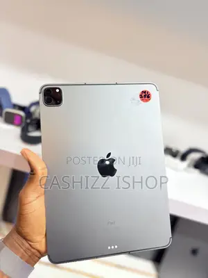 Apple iPad Pro 11 (2021) 256 GB Gray