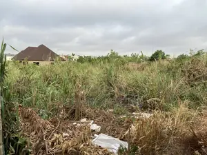 Two Well Fenced Plots for Sale at Kaase,Oti.