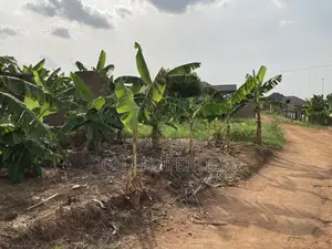 One Plot for Sale at Kwanwoma Konkoli.