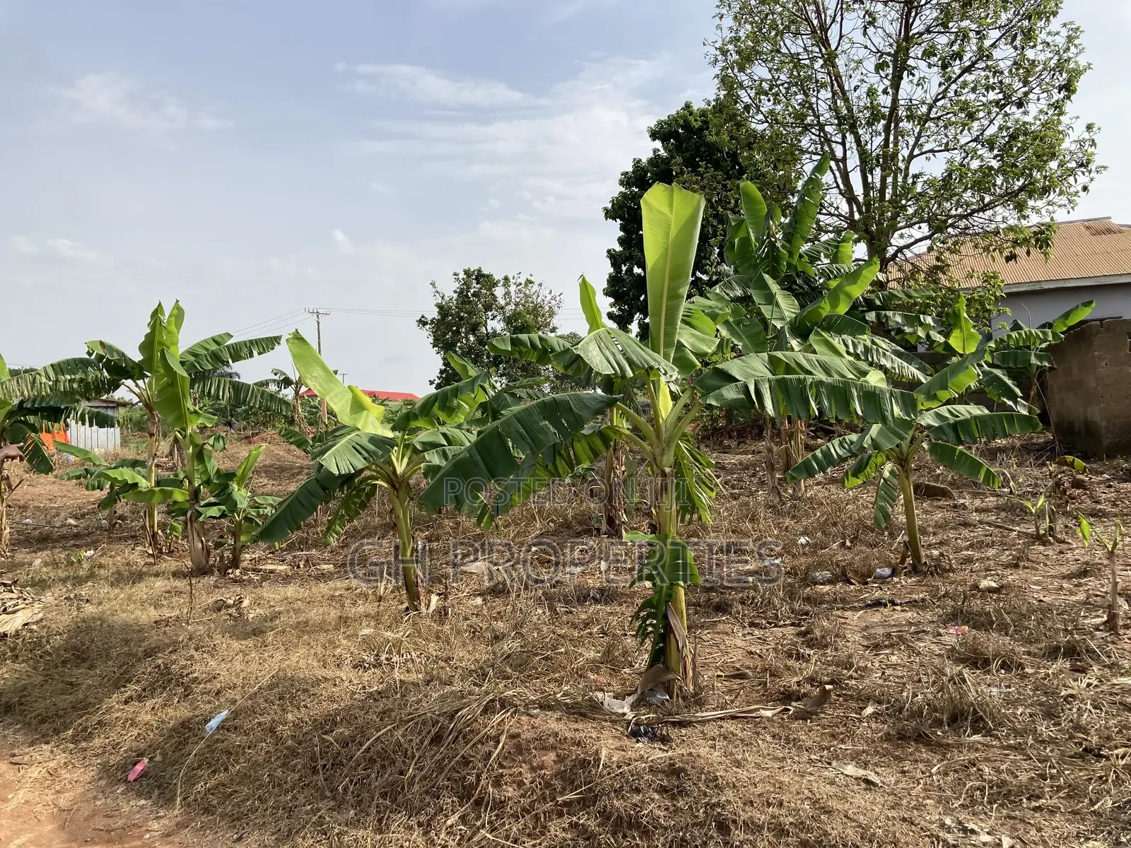 One Plot for Sale at Kwanwoma Konkoli.