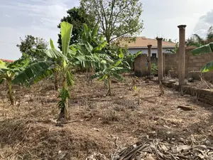 One Plot for Sale at Kwanwoma Konkoli.