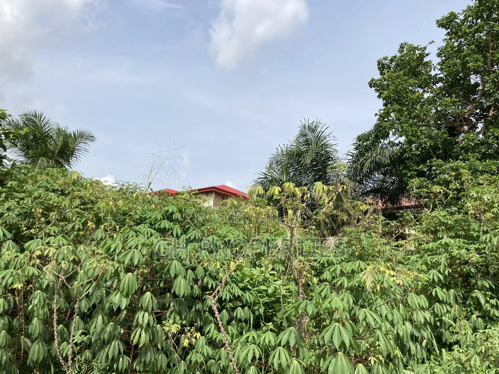 Plots for Sale at Kwanwoma,Duropem.