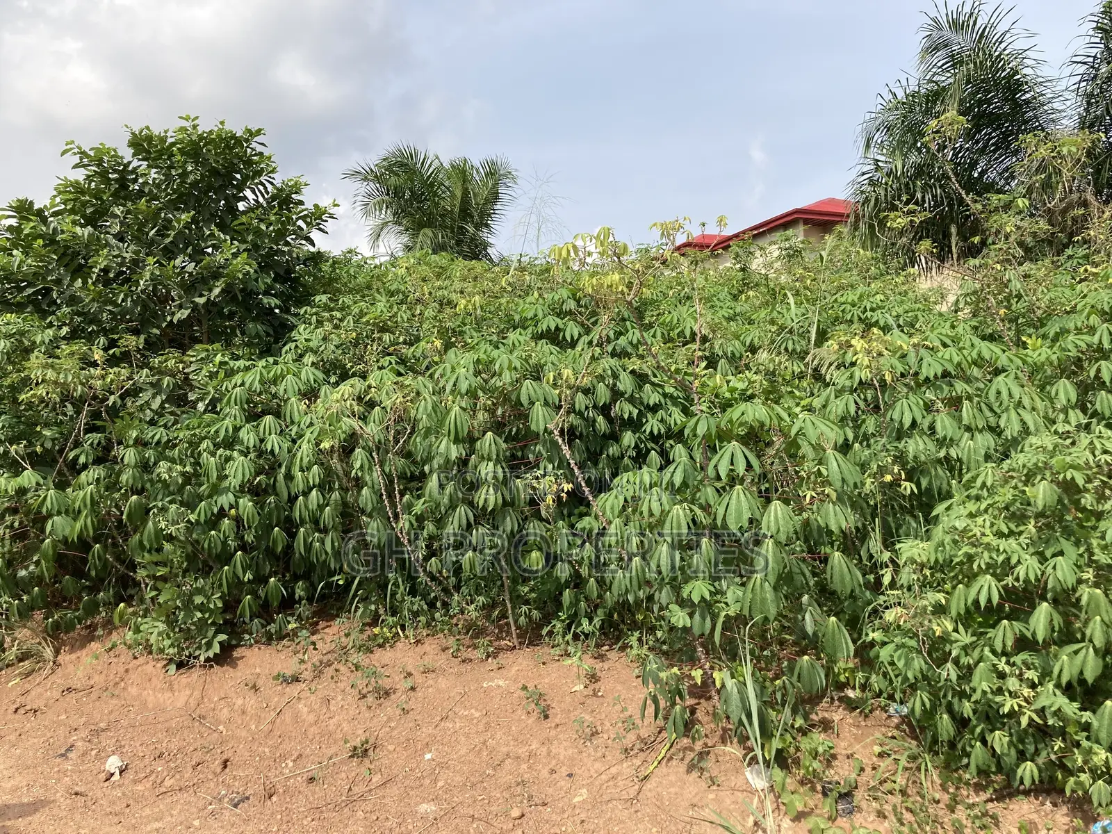 Plots for Sale at Kwanwoma,Duropem.