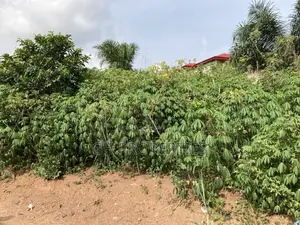 Plots for Sale at Kwanwoma,Duropem.