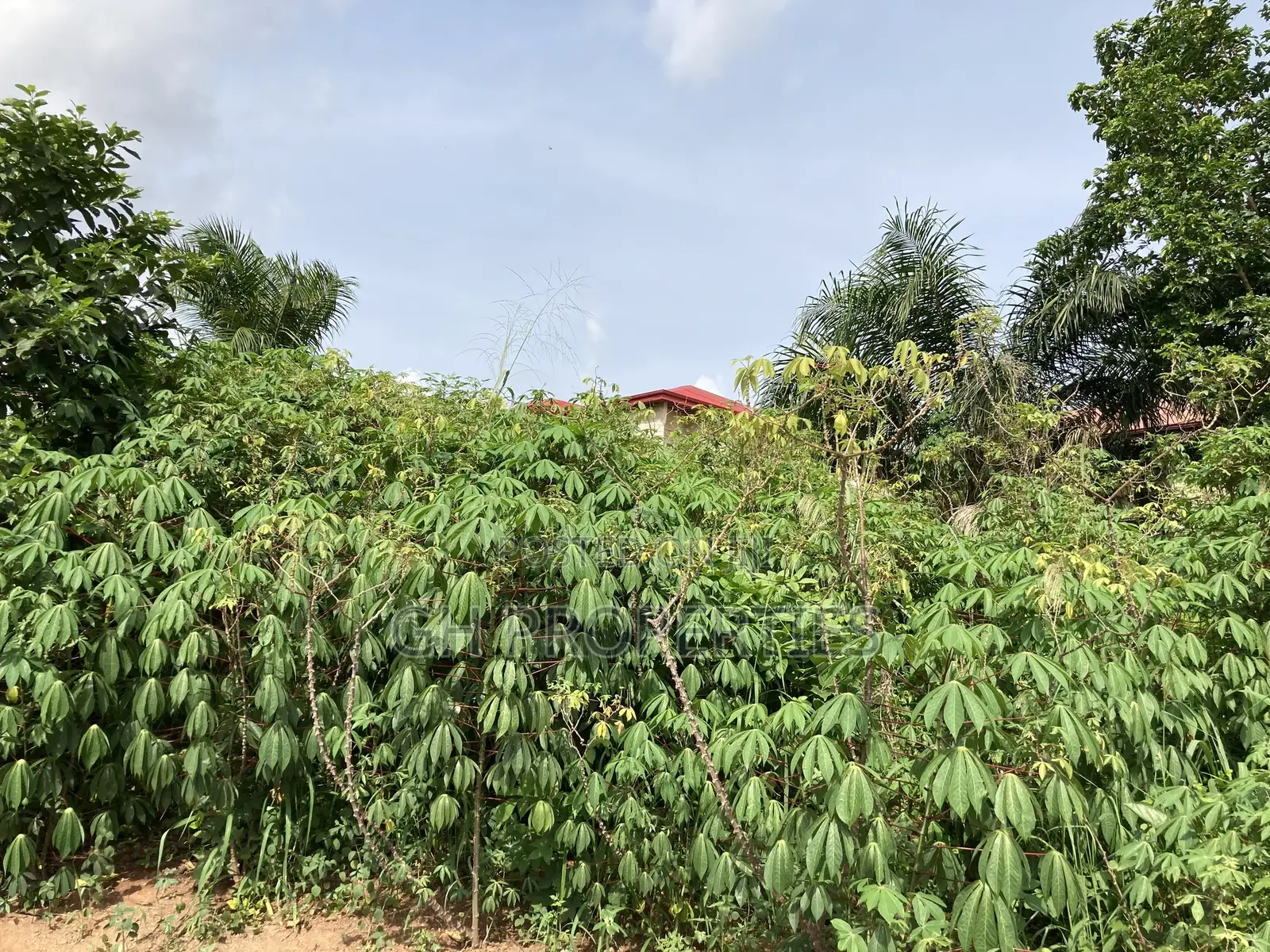Plots for Sale at Kwanwoma,Duropem.