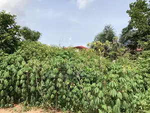 Plots for Sale at Kwanwoma,Duropem.