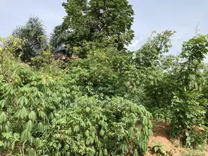 Plots for Sale at Kwanwoma,Duropem.