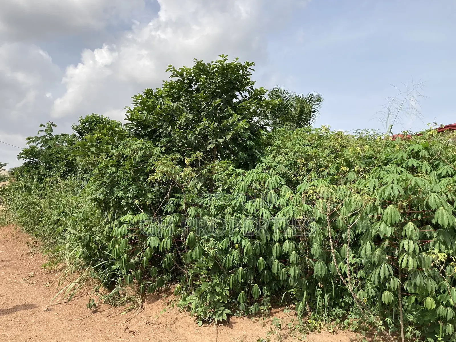 Plots for Sale at Kwanwoma,Duropem.