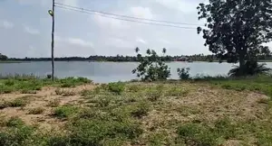 Ada Chalet Lands for Sale