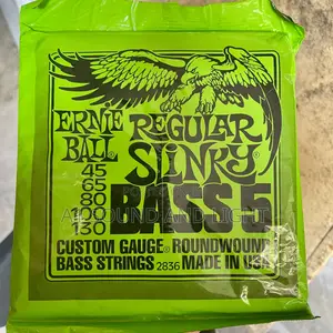 Ernie Ball Regular Slinky Bass 5 Strings