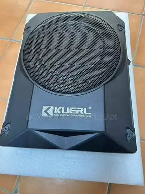 Bass Speaker Subwoofer