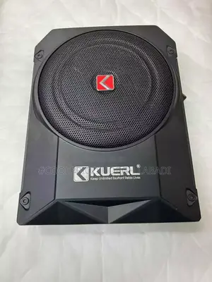 Bass Speaker Subwoofer