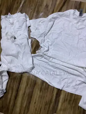 Plain T.Shirts 5