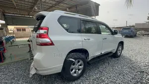 Pearl White Spraying Prado, V8