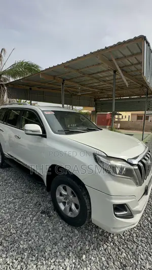 Pearl White Spraying Prado, V8