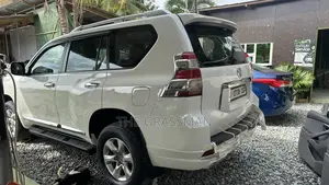 Pearl White Spraying Prado, V8