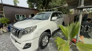 Pearl White Spraying Prado, V8