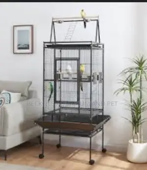 Spacious Long Parrot Cage