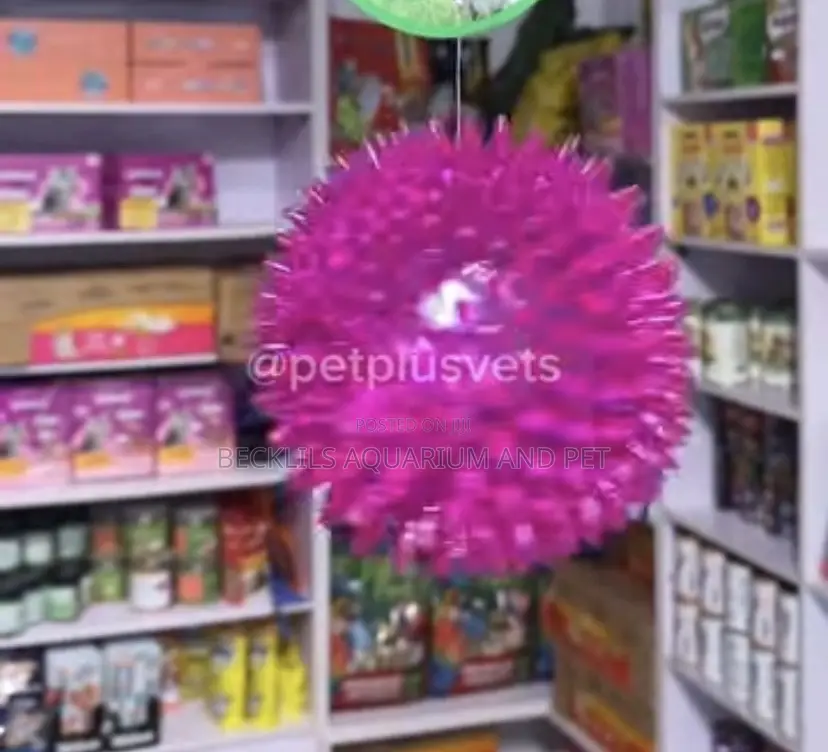 Ball Play Toy With Light