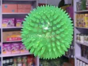 Ball Play Toy With Light