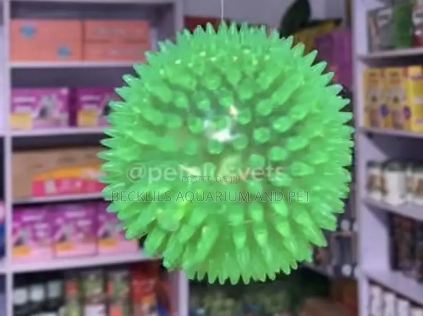 Ball Play Toy With Light
