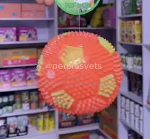 Ball Play Toy With Light