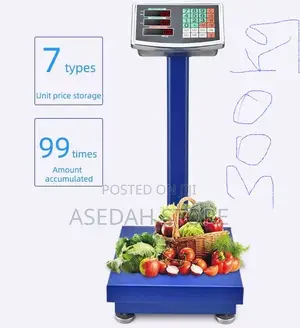 300kg Digital Platform Scale