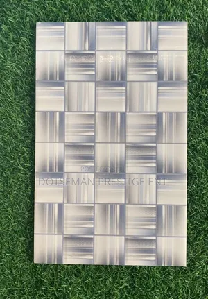 Ceramic Tiles 25 X 40