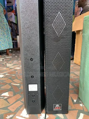 Jac Professional Passive Column Speakers