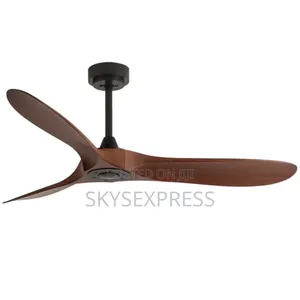 Decorative Ceiling Fan