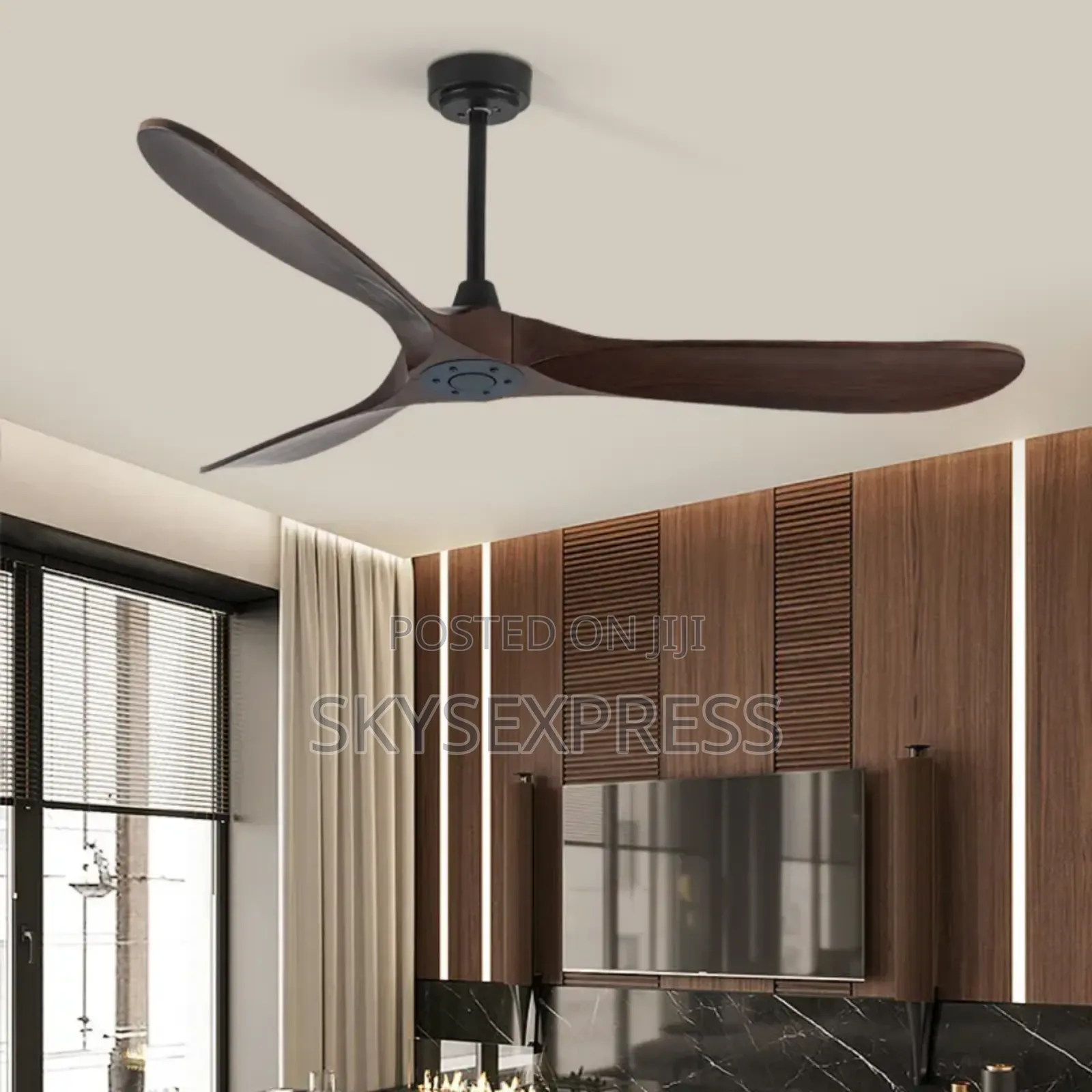 Decorative Ceiling Fan