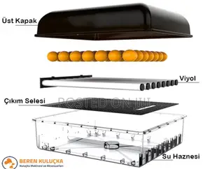 Foreign Incubator Eggs Electricity Battery