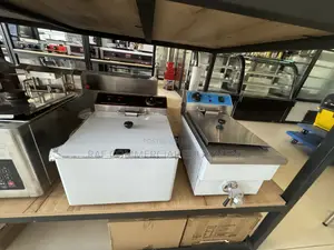 Single Electric Fryer
