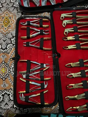 Dental Extraction Forcep 10 Pieces Stainless Steel