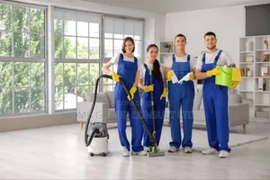 Your Local Cleaners