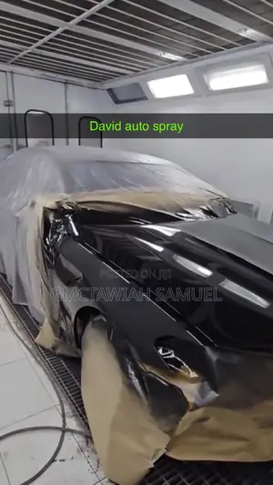 Mr David Auto Spray