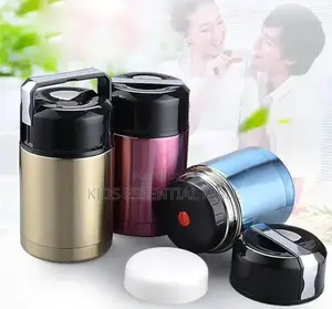 Insulted Food Flask