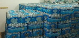 Kirkland Purified Water