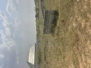 Land Surveyor