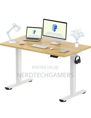 Flexispot Standing Desk 48 X 24 Inches Height Adjustable Des