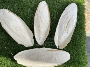 Cuttlebone
