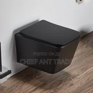 Wall Hung Toilet Pot Wc Concealed 625b C