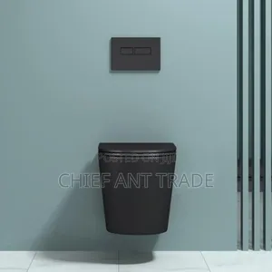 Wall Hung Toilet Pot Wc Concealed 625b C