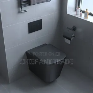 Wall Hung Toilet Pot Wc Concealed 625b C
