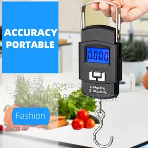 Wholesale And Retail 50kg Hanging Scale High Quality