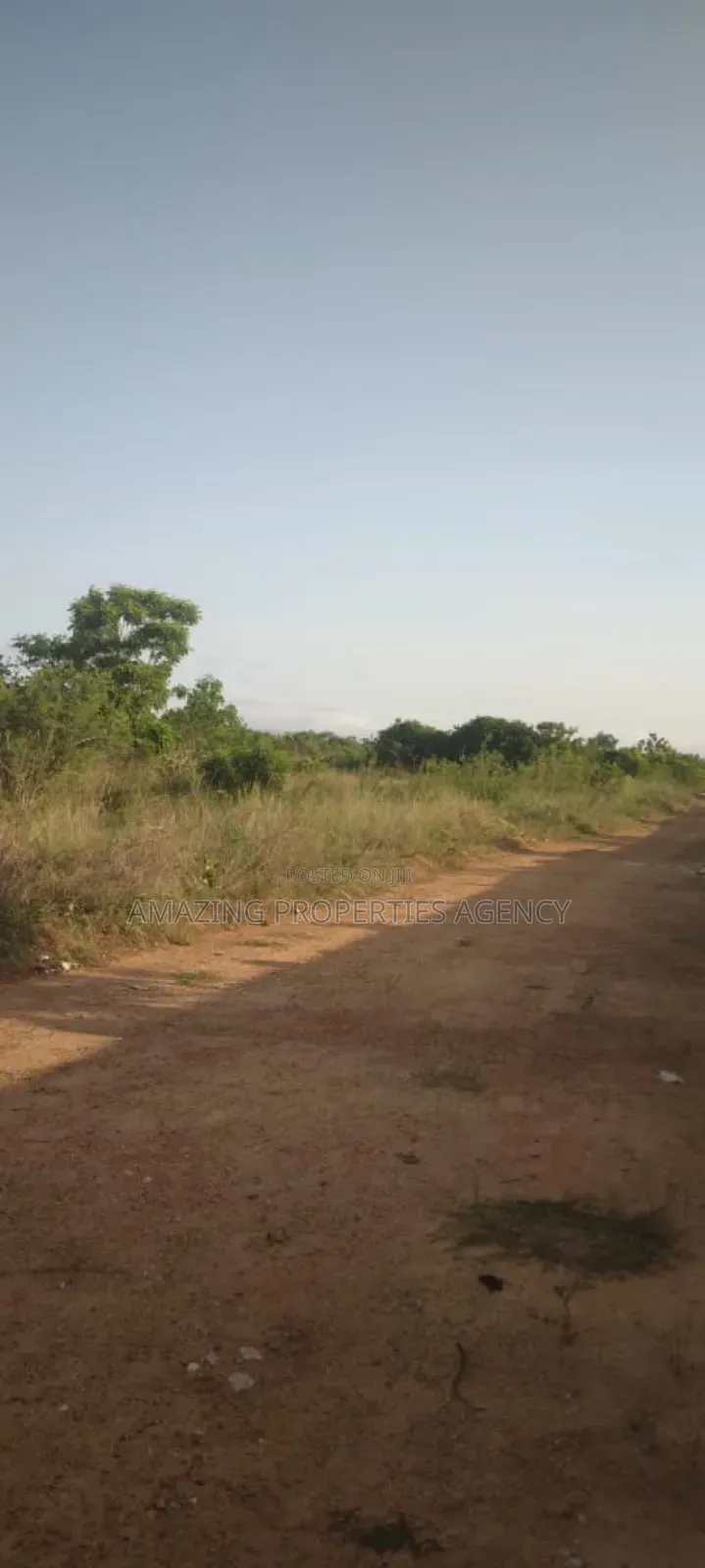 55 Acres of Land for Sale at Lakeside