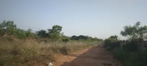 55 Acres of Land for Sale at Lakeside