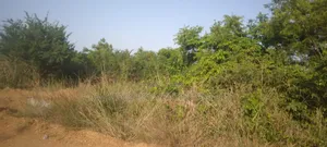 55 Acres of Land for Sale at Lakeside