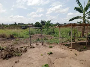 2 Plots of Land for Sale at Madina Estate